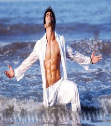 Karan Singh Grover Model
